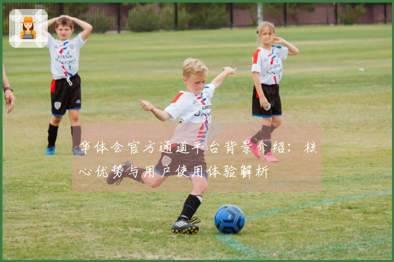 华体会官方通道平台背景介绍：核心优势与用户使用体验解析