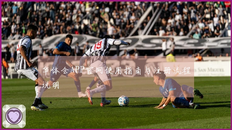 华体会APP官网使用指南与注册流程说明